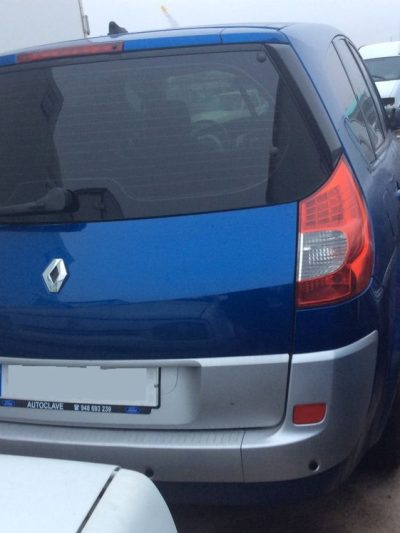 DESPIECE RENAULT MEGANE SCENIC