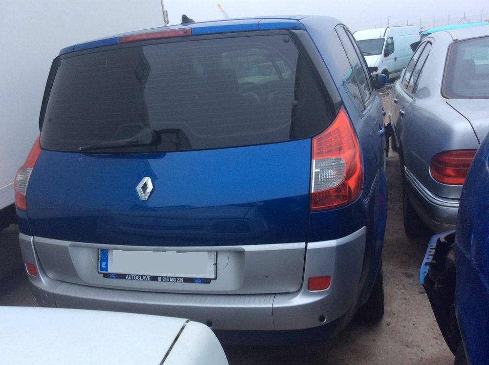 DESPIECE RENAULT MEGANE SCENIC