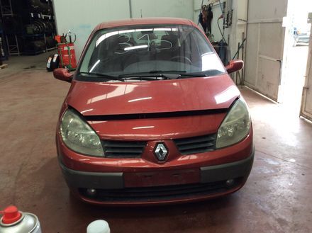 DESPIECE RENAULT MEGANE SCENIC