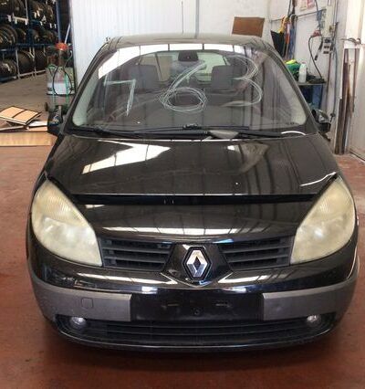 DESPIECE RENAULT MEGANE SCENIC II