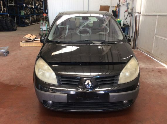 DESPIECE RENAULT MEGANE SCENIC II