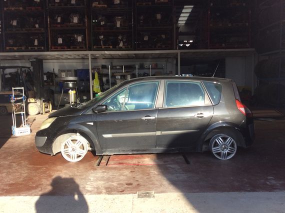 DESPIECE RENAULT MEGANE SCENIC II - Imagen 4