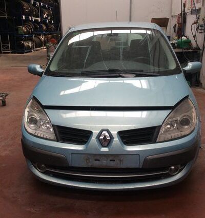 DESPIECE RENAULT MEGANE SCENIC II