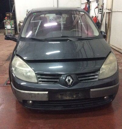 DESPIECE RENAULT MEGANE SCENIC II
