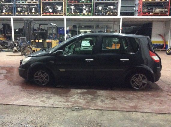 DESPIECE RENAULT MEGANE SCENIC II - Imagen 4