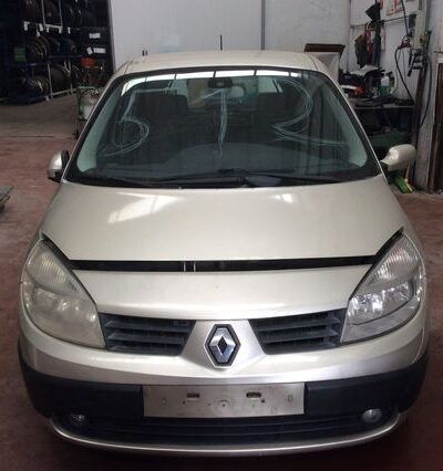 DESPIECE RENAULT MEGANE SCENIC
