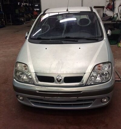 DESPIECE RENAULT MEGANE SCENIC I